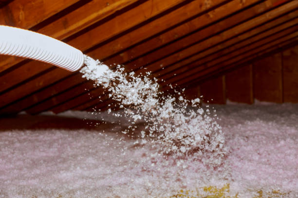 Best Best Insulation Companies  in Southern Shores, NC