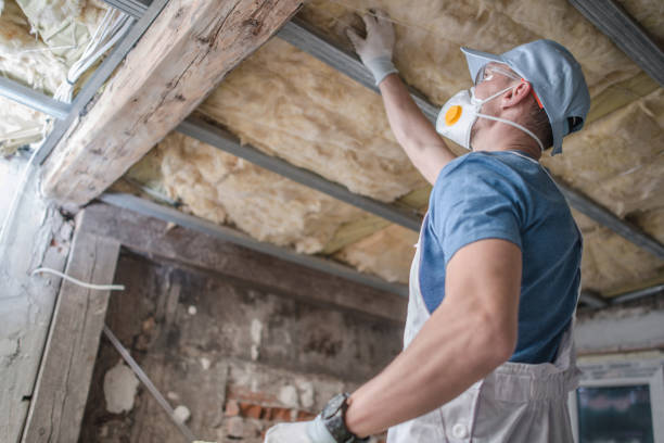 Best Spray Foam Insulation  in Southern Shores, NC