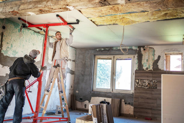 Best Insulation for New Construction  in Southern Shores, NC