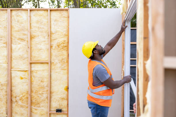 Best Local Insulation Services  in Southern Shores, NC