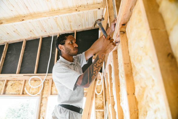 Best Wall Insulation Contractor  in Southern Shores, NC
