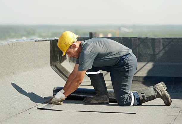 Best Cellulose Insulation  in Southern Shores, NC