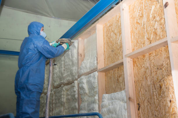 Best Crawl Space Insulation  in Southern Shores, NC