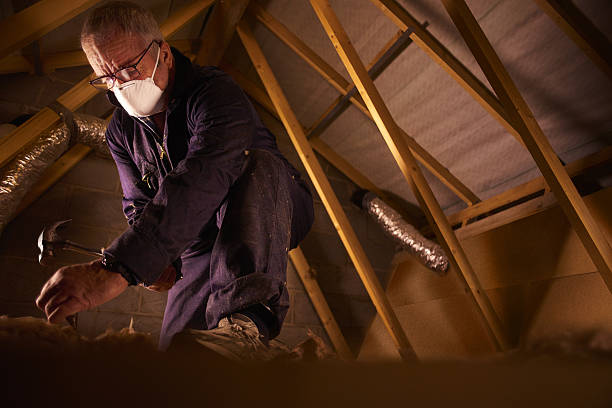 Best Attic Insulation Installation  in Southern Shores, NC