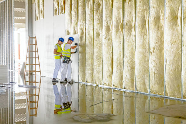 Best Blown-in Insulation  in Southern Shores, NC